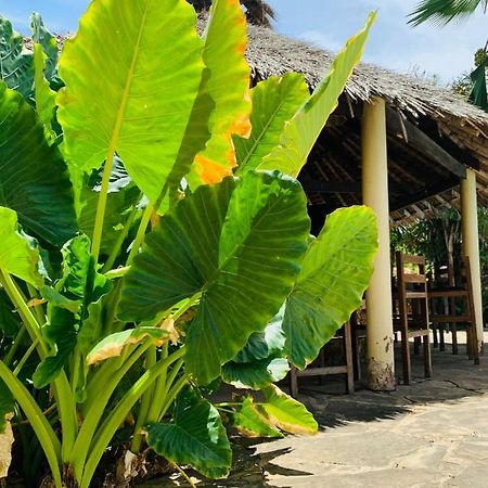 Ltorec Nyali Beach Zewnętrze zdjęcie