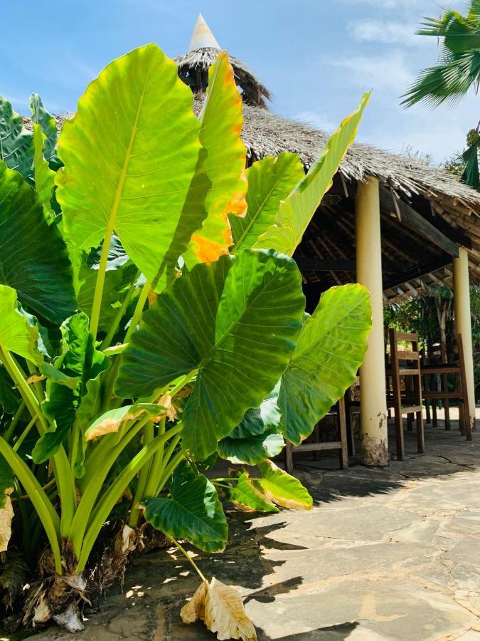 Hotel Ltorec Nyali Beach Zewnętrze zdjęcie